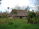 dsc00511